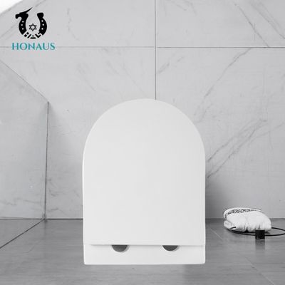 Economic Europe Wall Hung Toilet Bowl Rimless WC Washdown Type