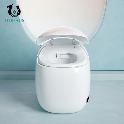 CUPC Egg Design Bathroom Toilet Bowl Sanitary Ware Intelligent WC Water Saving